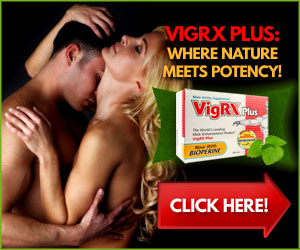 Vigrx plus ingredients